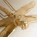 Figura decorativa libelula Mantis Mano Mundo Oro