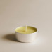Set de 30 velas tealight Basic Citron Mano Mundo