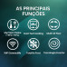 Frigorífico Americano HISENSE RQ5P470SEIE (No Frost - 178,5 cm - 483 L - Gris)